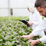 work in amsterdam order picker