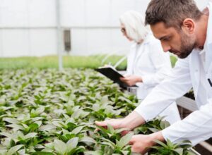 work in amsterdam order picker